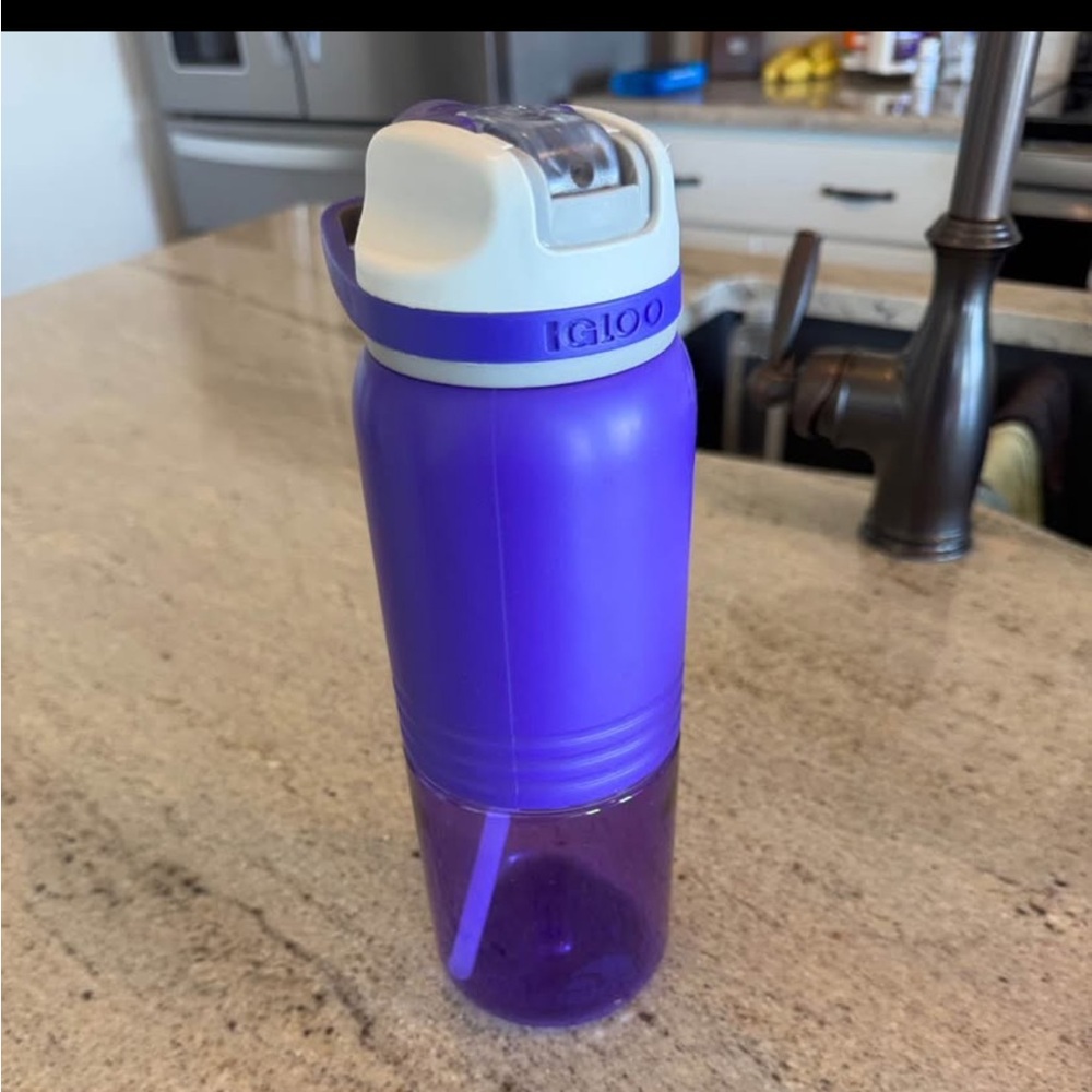 Igloo Violet Hydration Bottle with Flip Lid